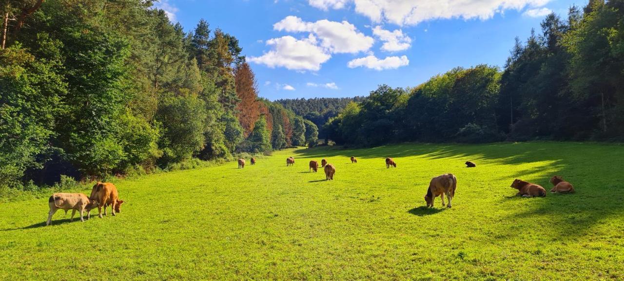 Eifelhof Mit Obstbaumwiese Nideggen Eksteriør bilde