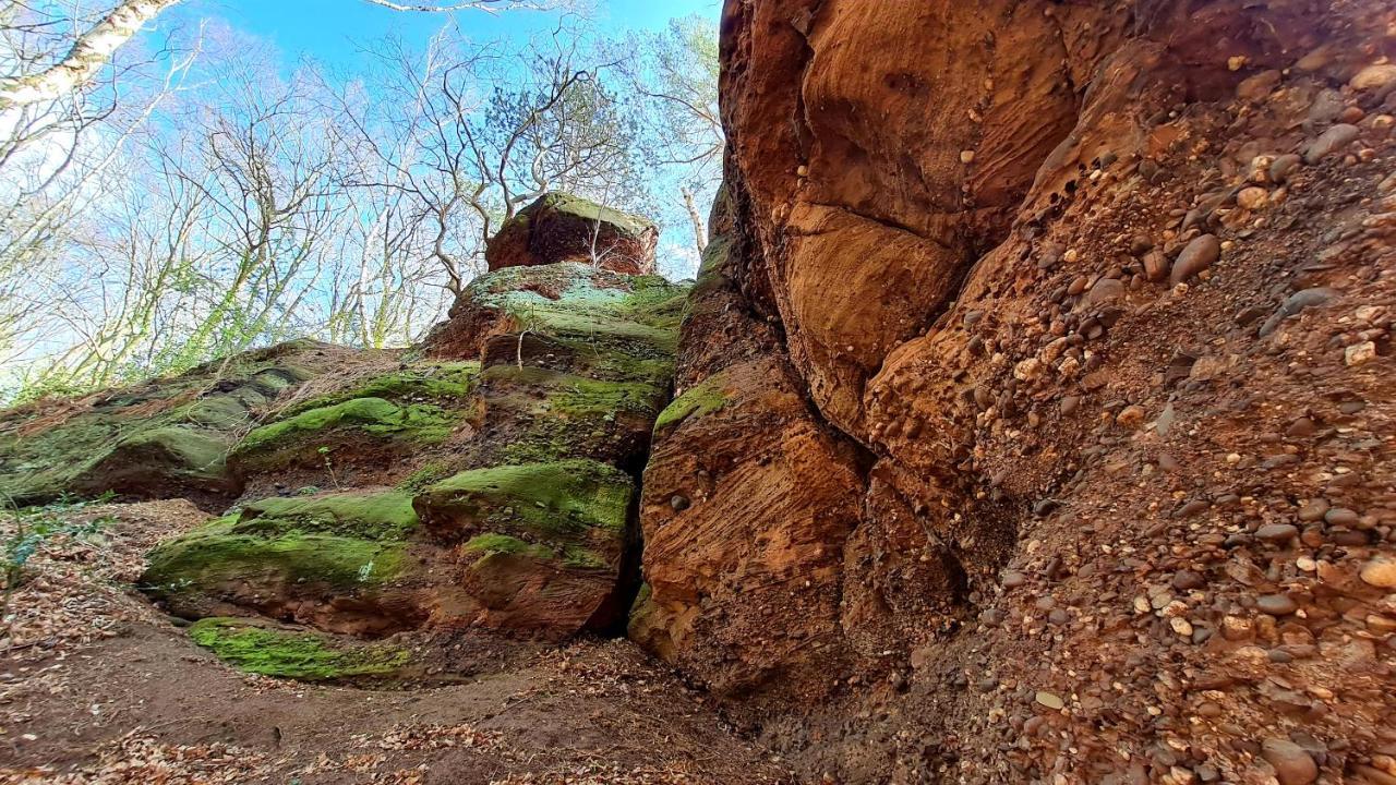 Eifelhof Mit Obstbaumwiese Nideggen Eksteriør bilde