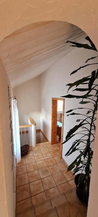 Eifelhof Mit Obstbaumwiese Nideggen Eksteriør bilde